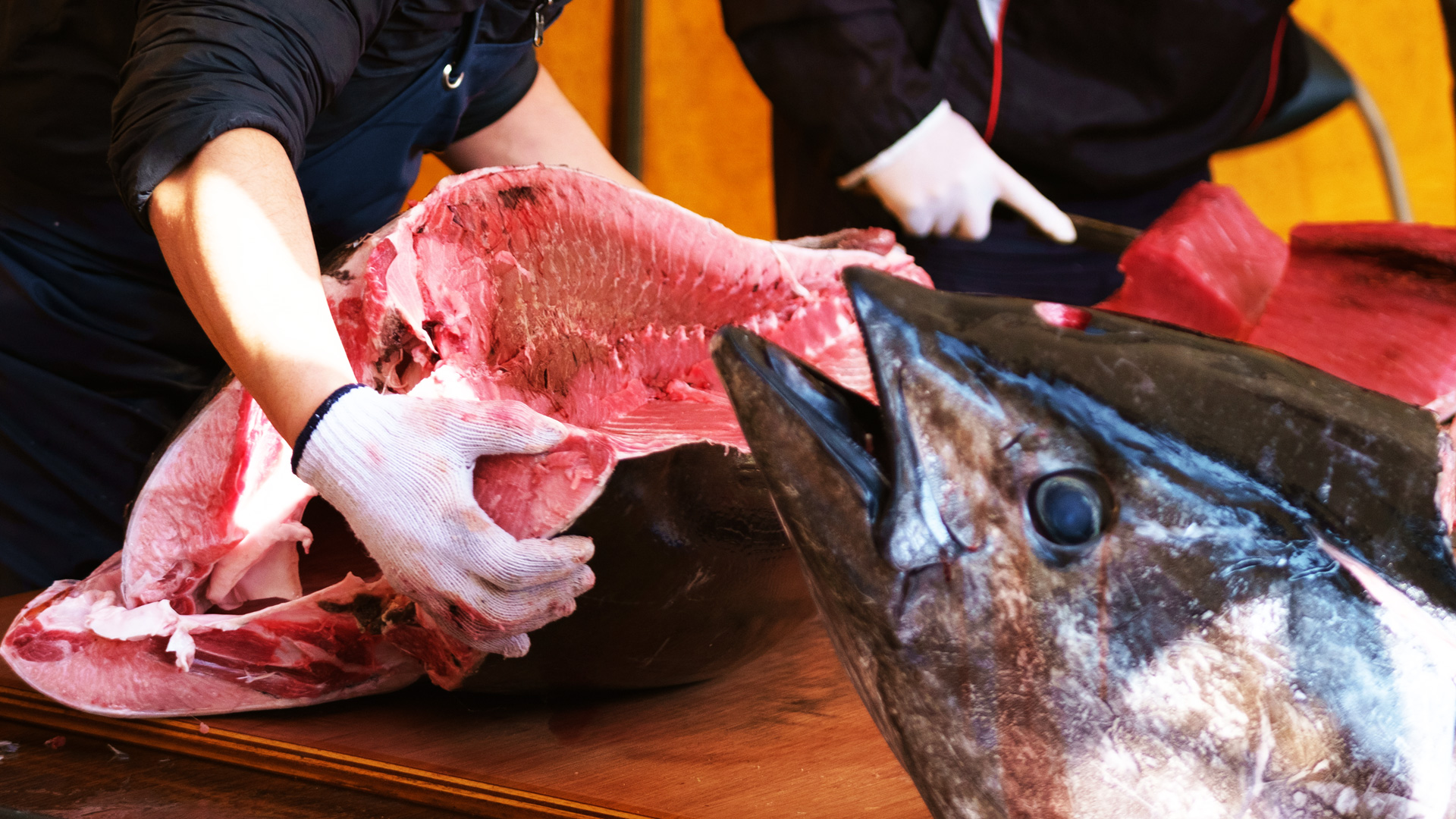 妥協ゼロ。海のプロが選ぶ答え。